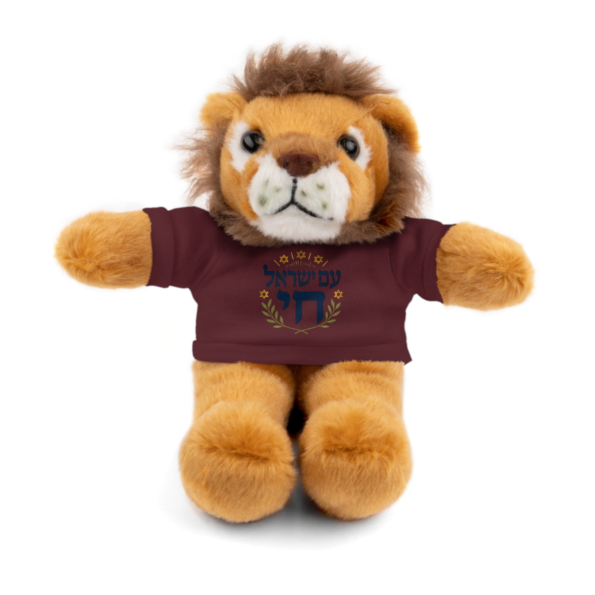 Israel Chai Teddy Bear — Plush Stuffed Animal with Tee