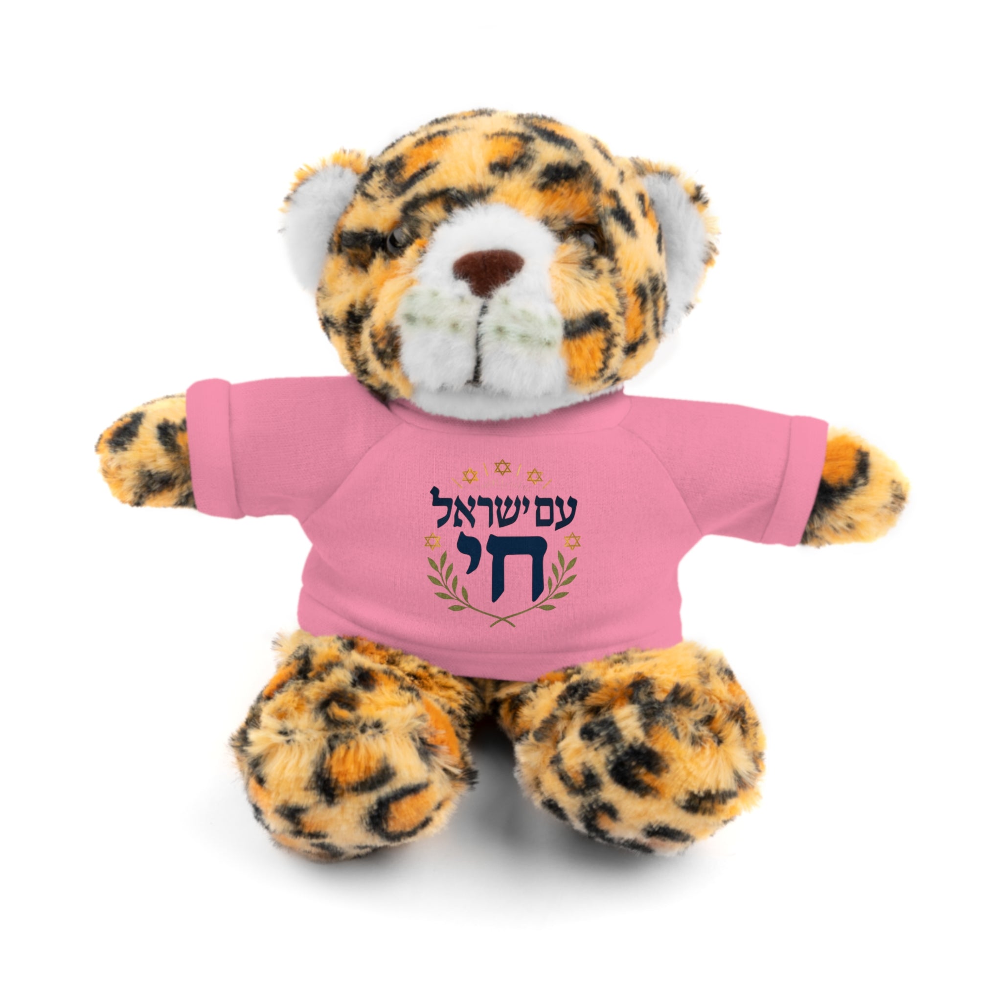 Israel Chai Teddy Bear — Plush Stuffed Animal with Tee