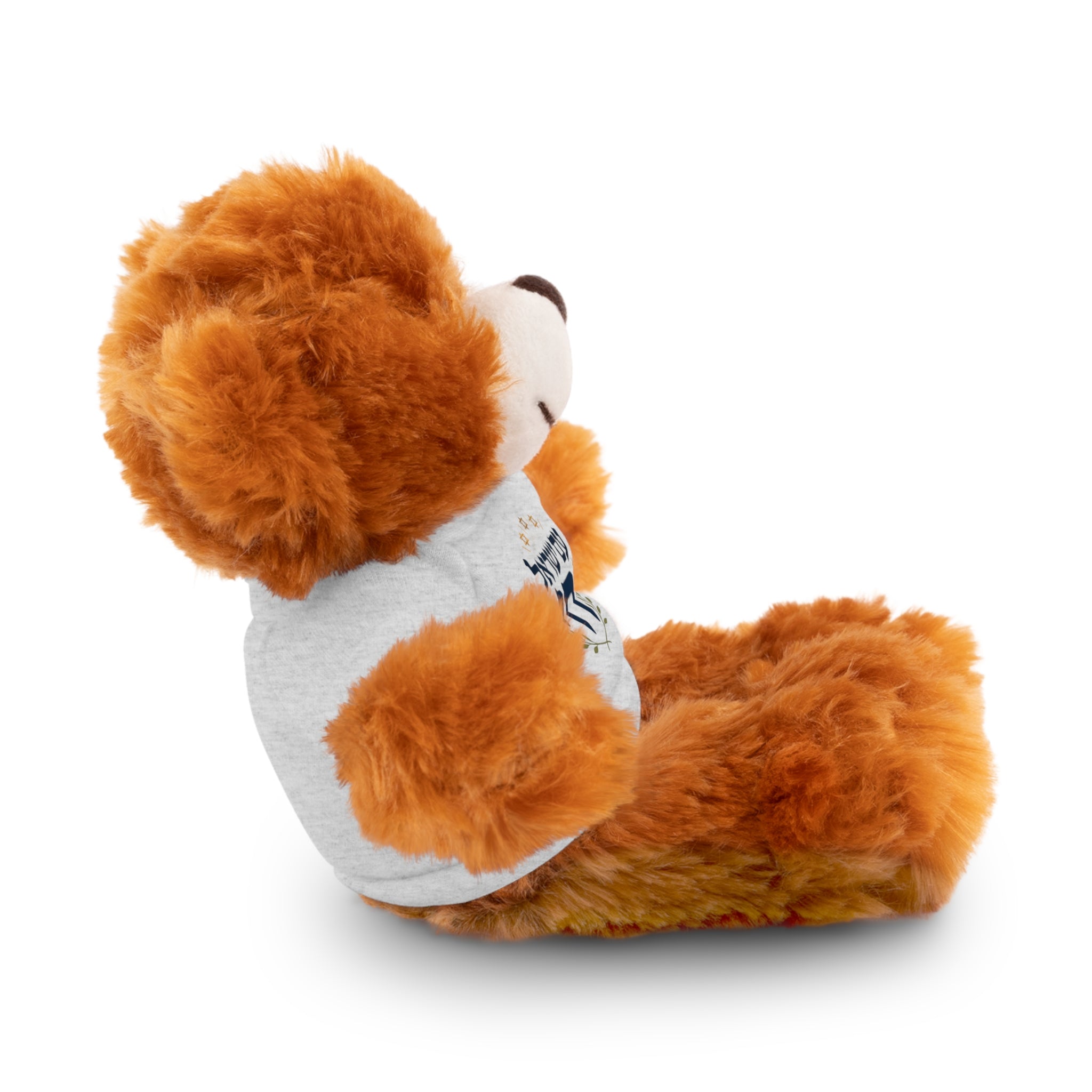 Israel Chai Teddy Bear — Plush Stuffed Animal with Tee