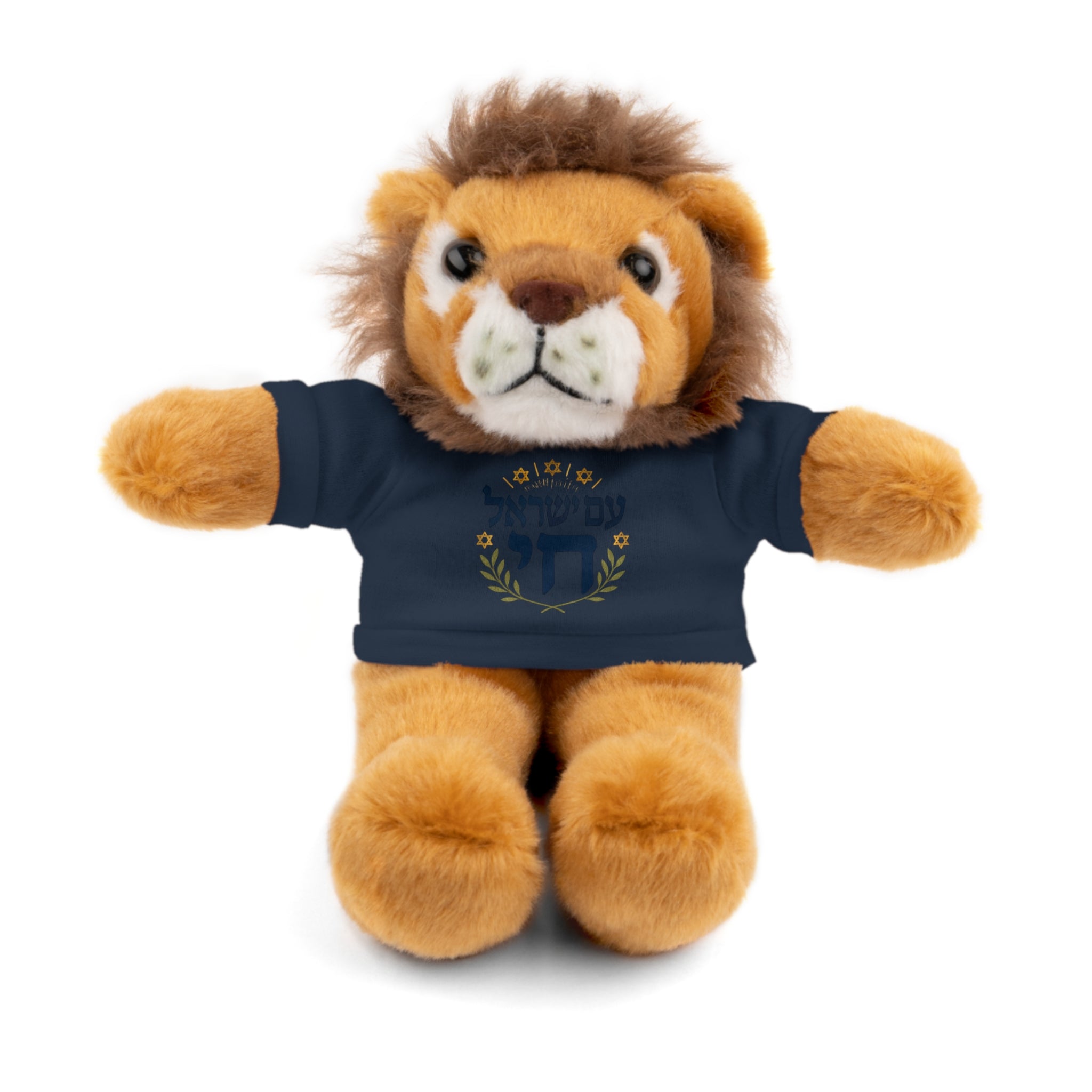 Israel Chai Teddy Bear — Plush Stuffed Animal with Tee