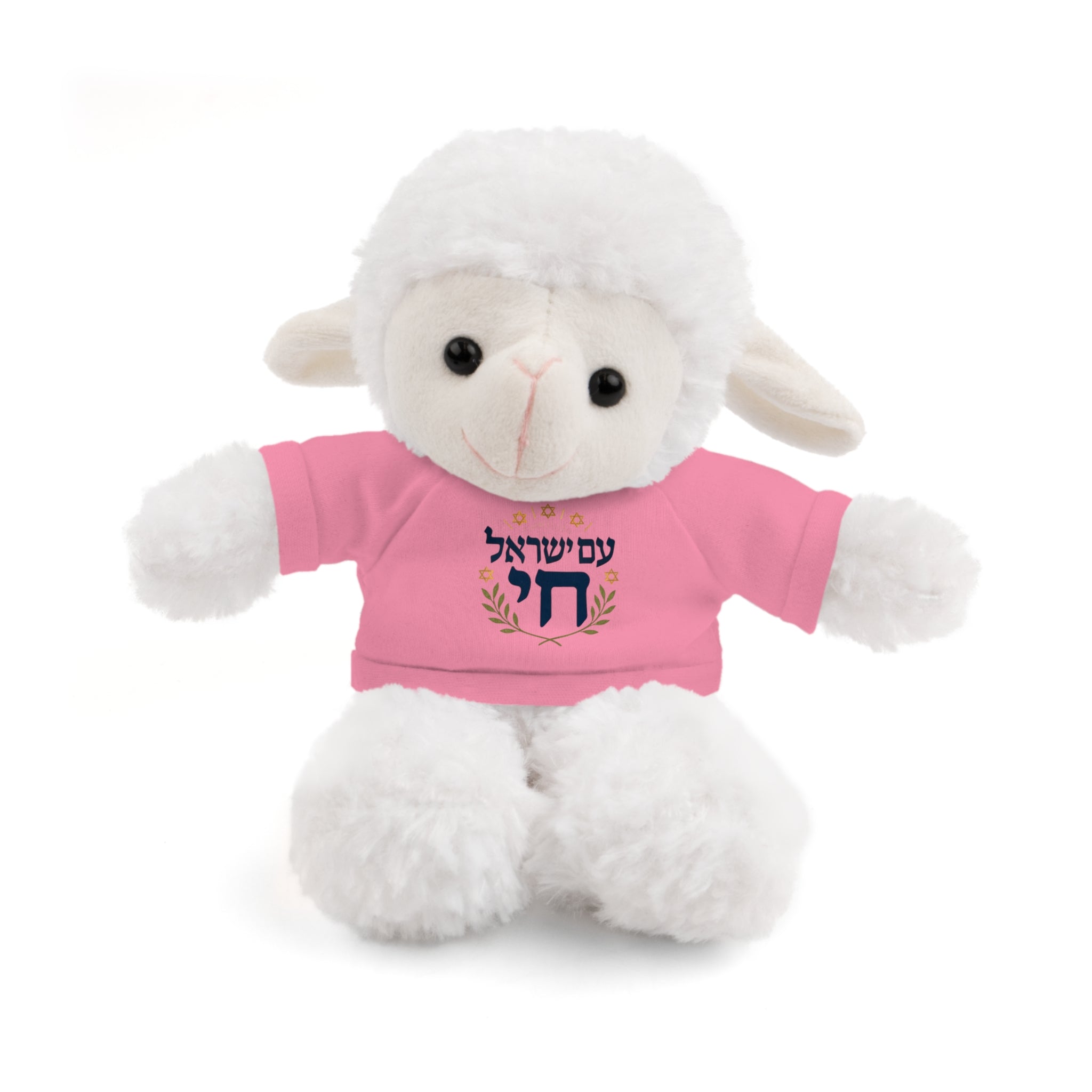 Israel Chai Teddy Bear — Plush Stuffed Animal with Tee