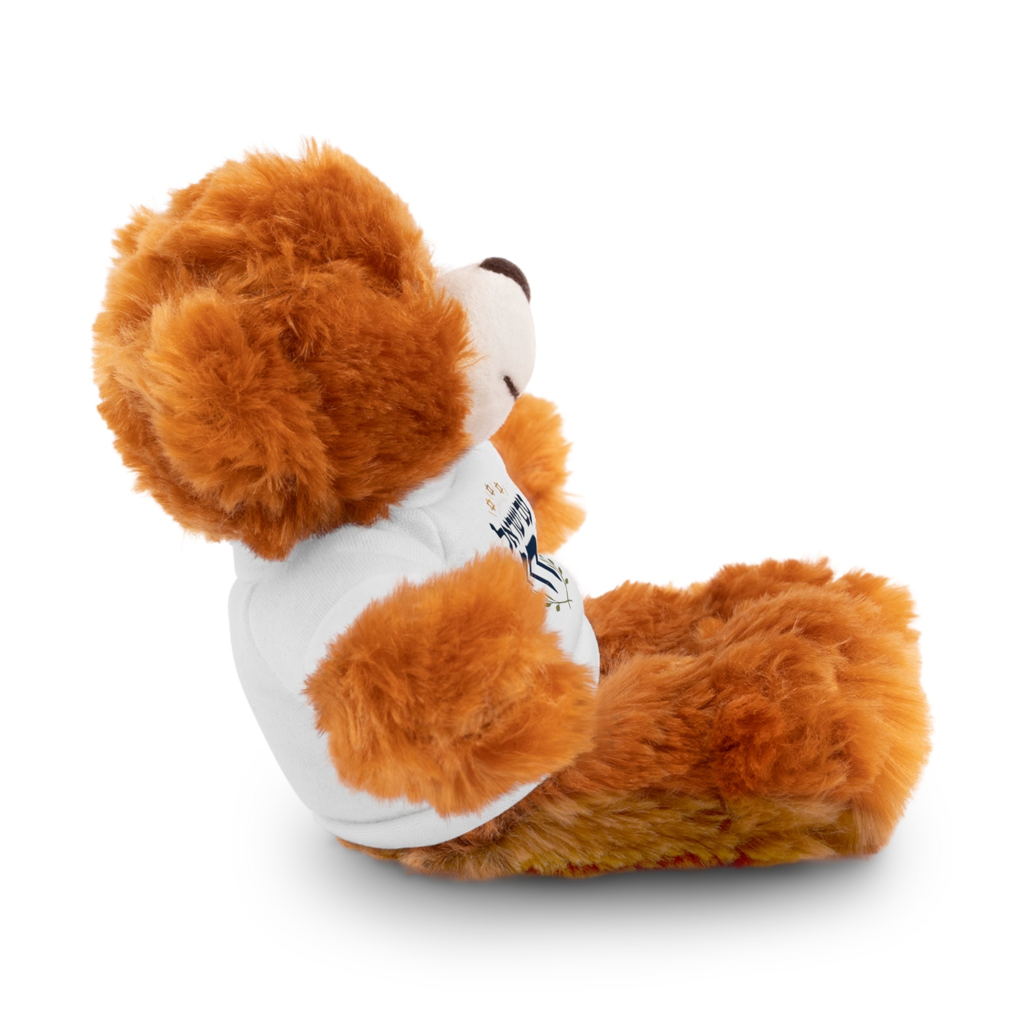 Israel Chai Teddy Bear — Plush Stuffed Animal with Tee