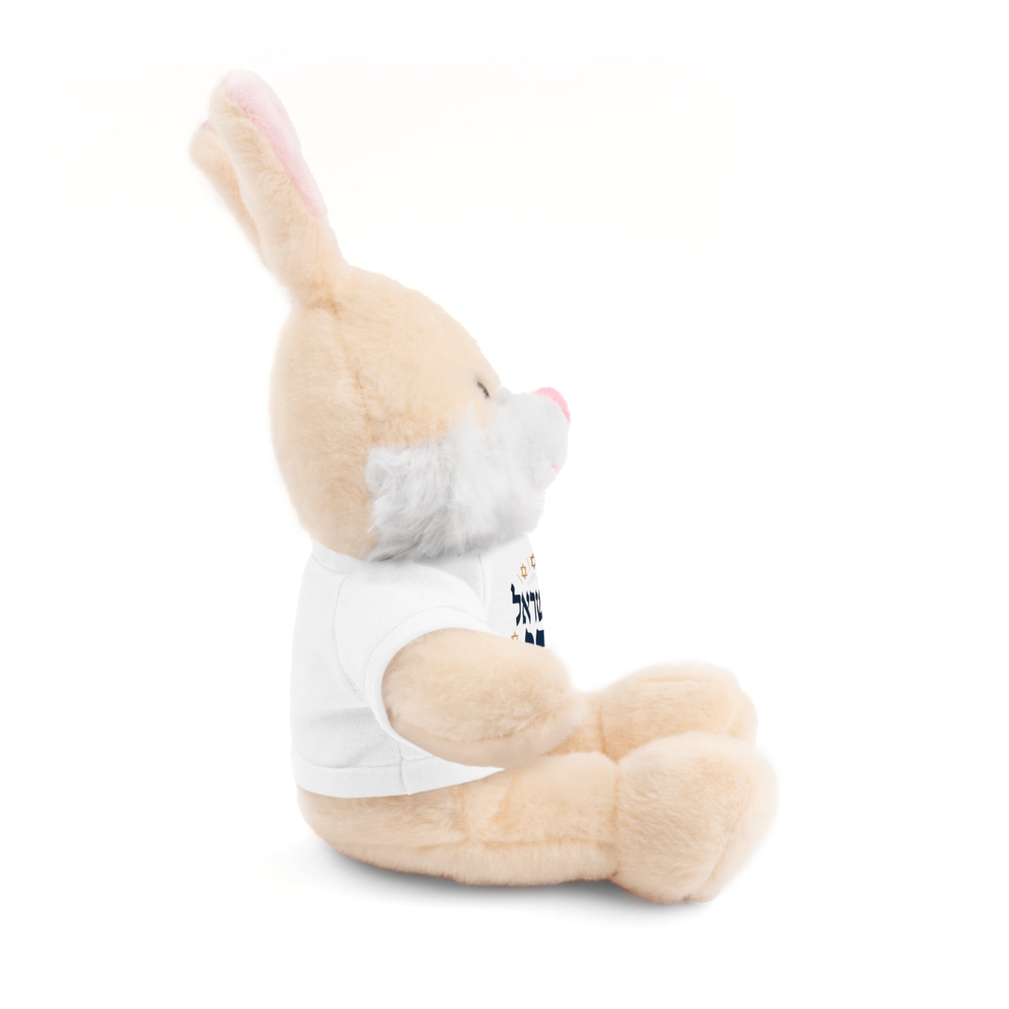 Israel Chai Teddy Bear — Plush Stuffed Animal with Tee