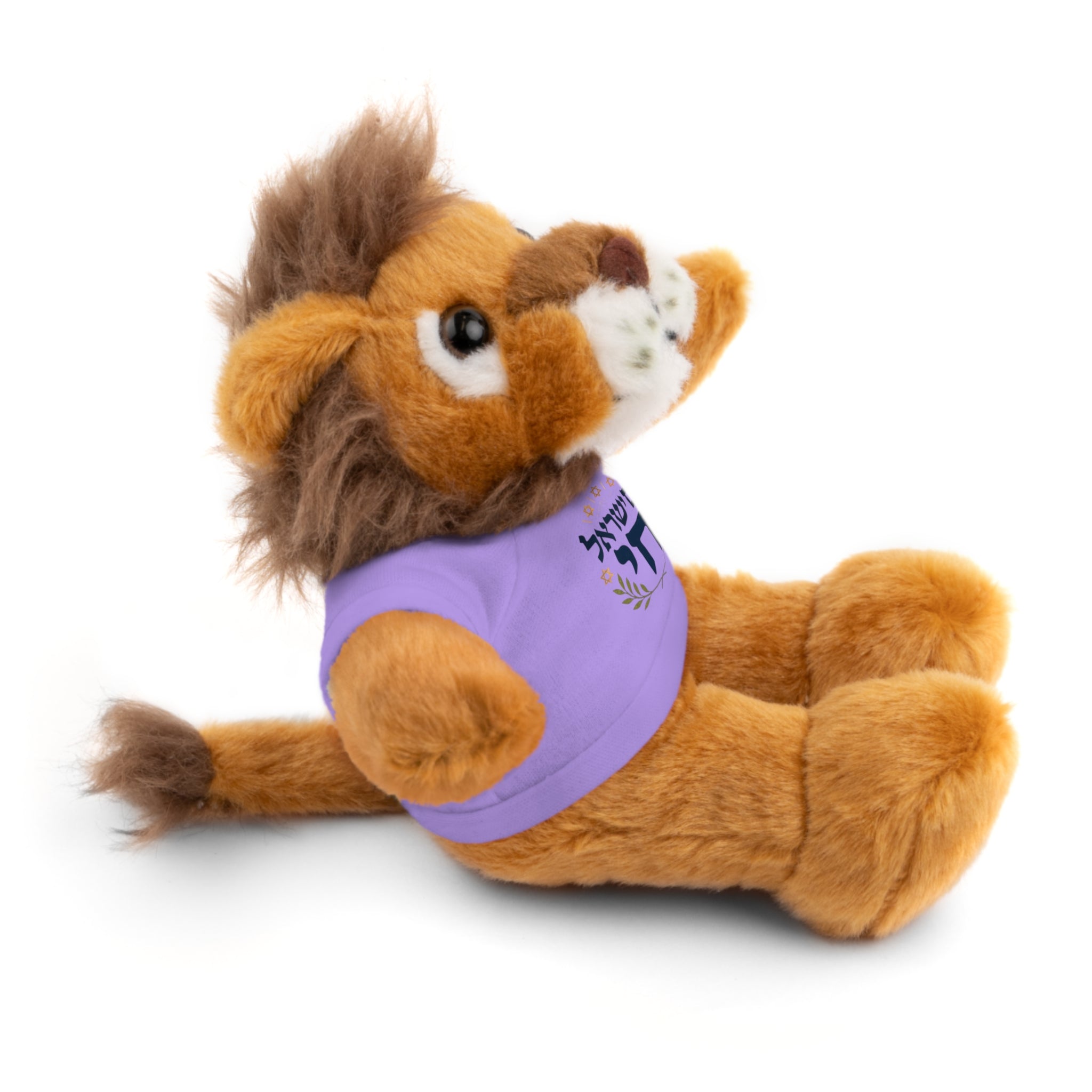 Israel Chai Teddy Bear — Plush Stuffed Animal with Tee