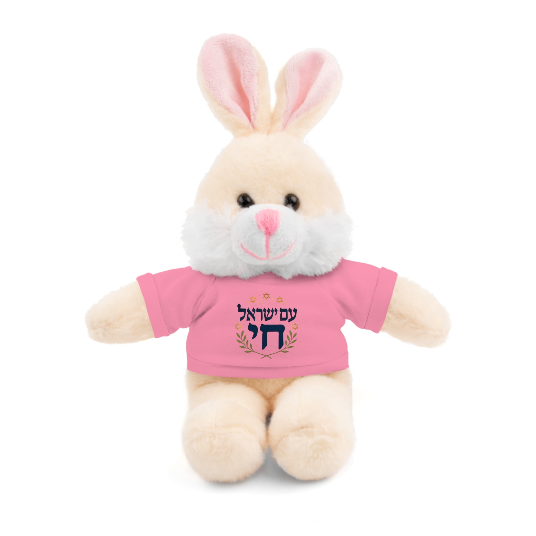 Israel Chai Teddy Bear — Plush Stuffed Animal with Tee