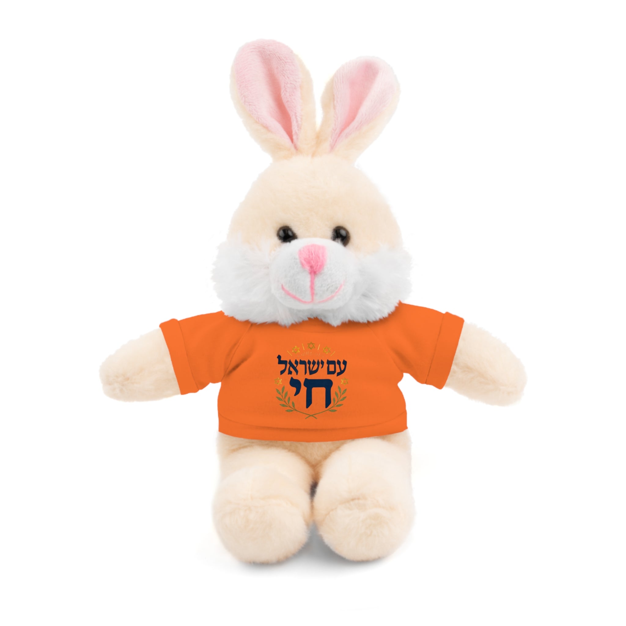 Israel Chai Teddy Bear — Plush Stuffed Animal with Tee