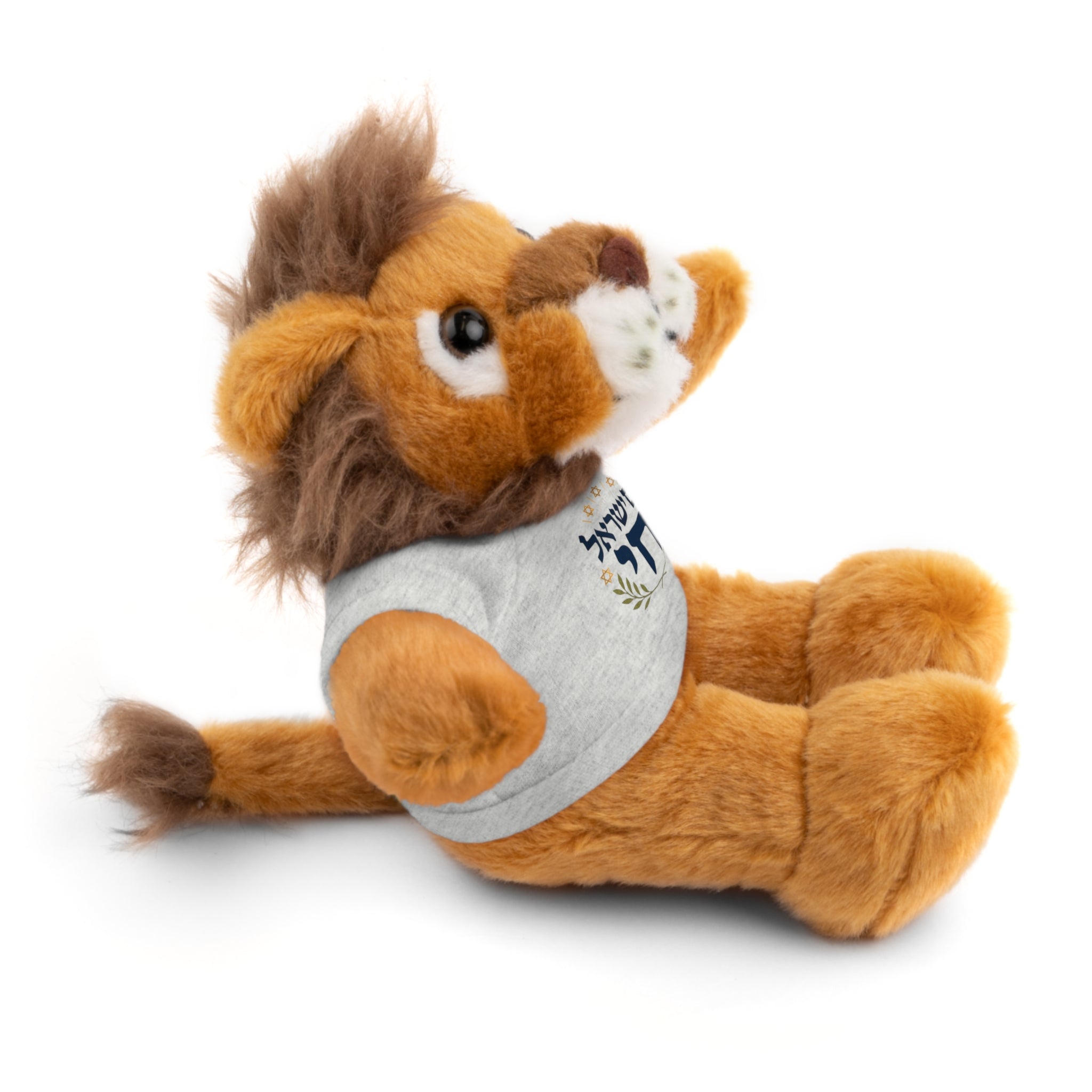 Israel Chai Teddy Bear — Plush Stuffed Animal with Tee