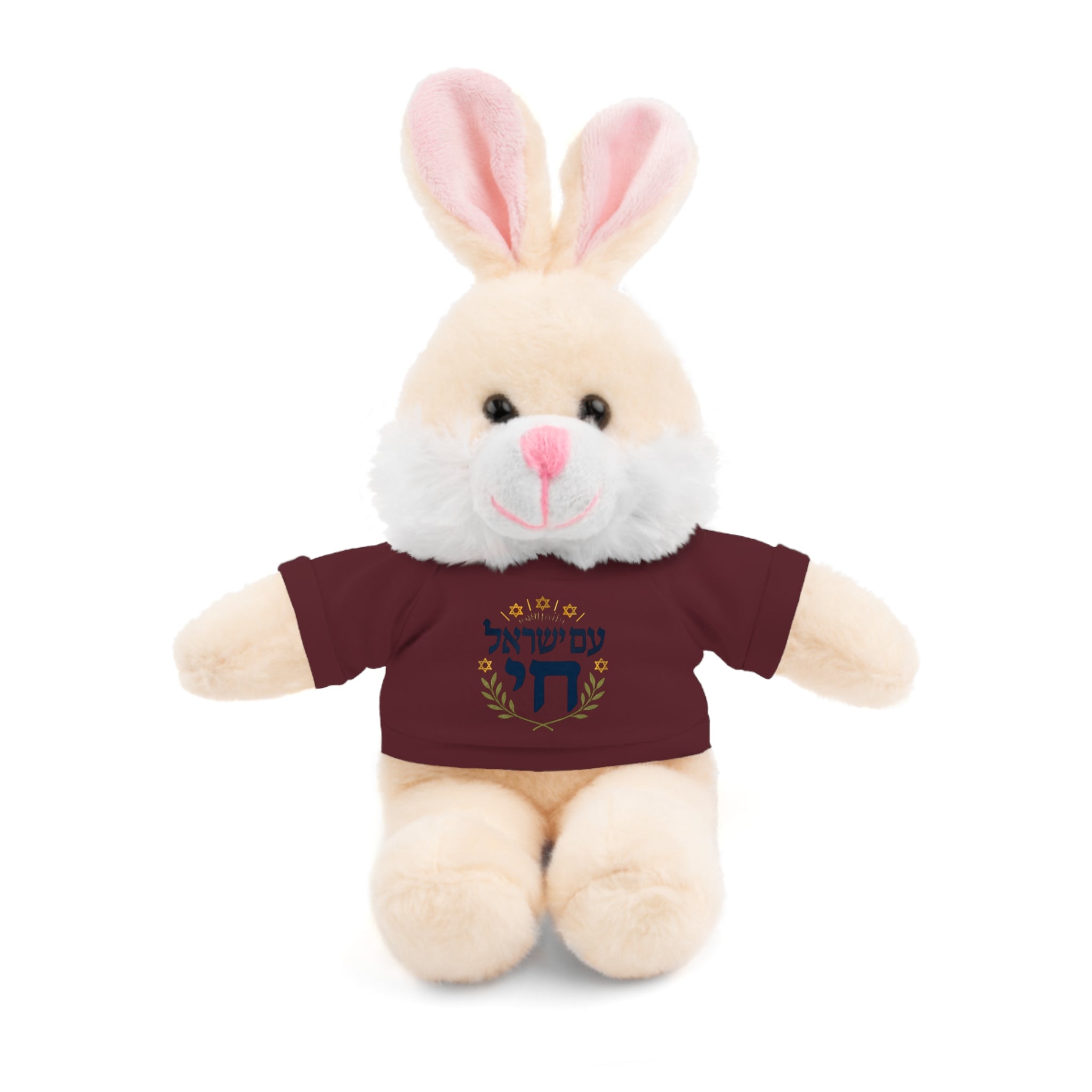 Israel Chai Teddy Bear — Plush Stuffed Animal with Tee