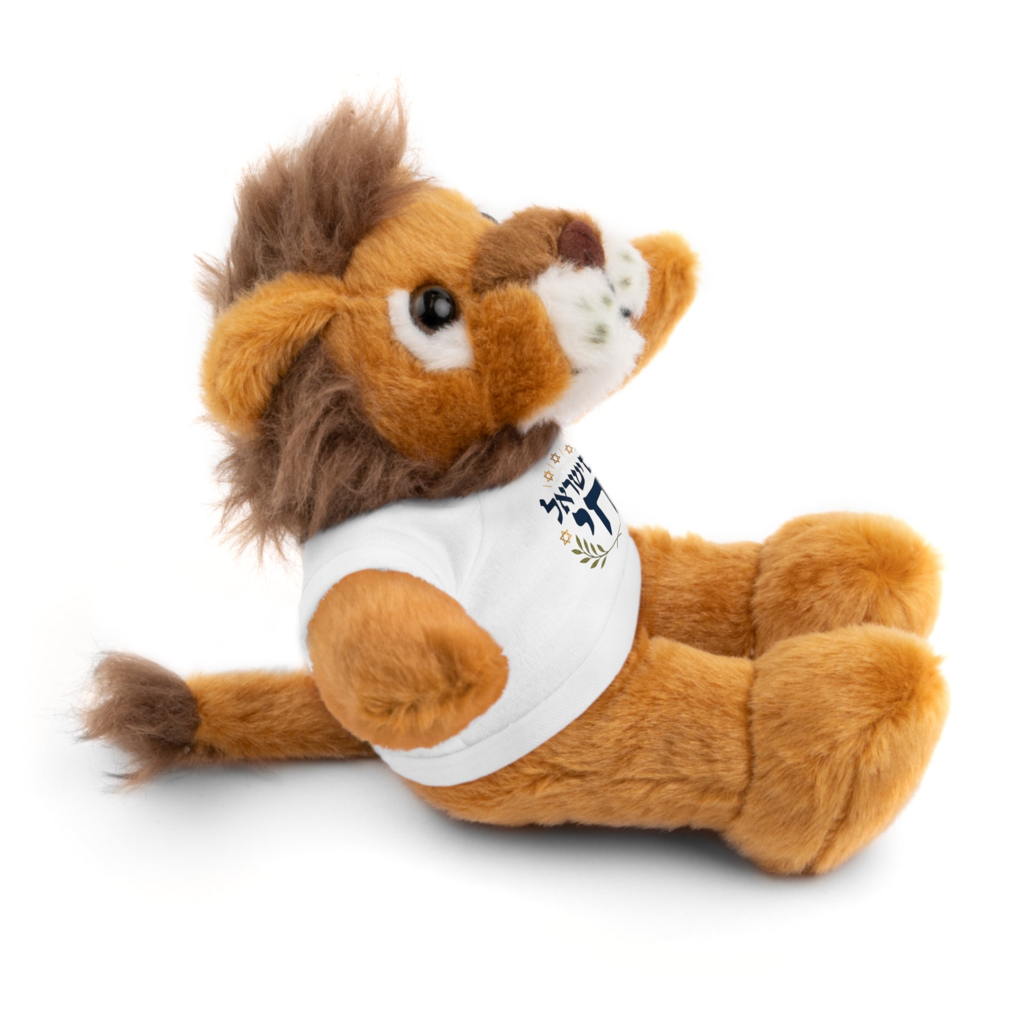 Israel Chai Teddy Bear — Plush Stuffed Animal with Tee
