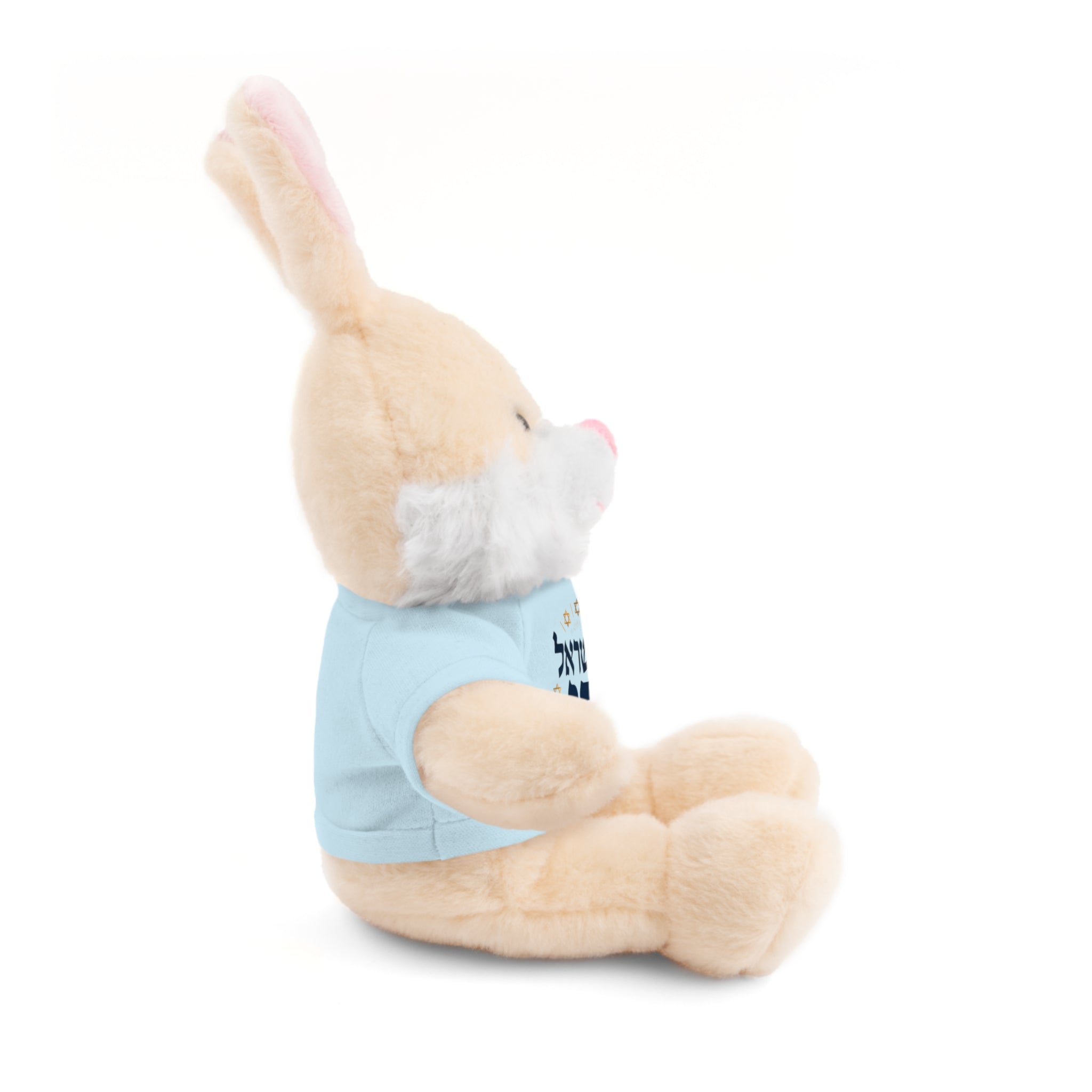Israel Chai Teddy Bear — Plush Stuffed Animal with Tee