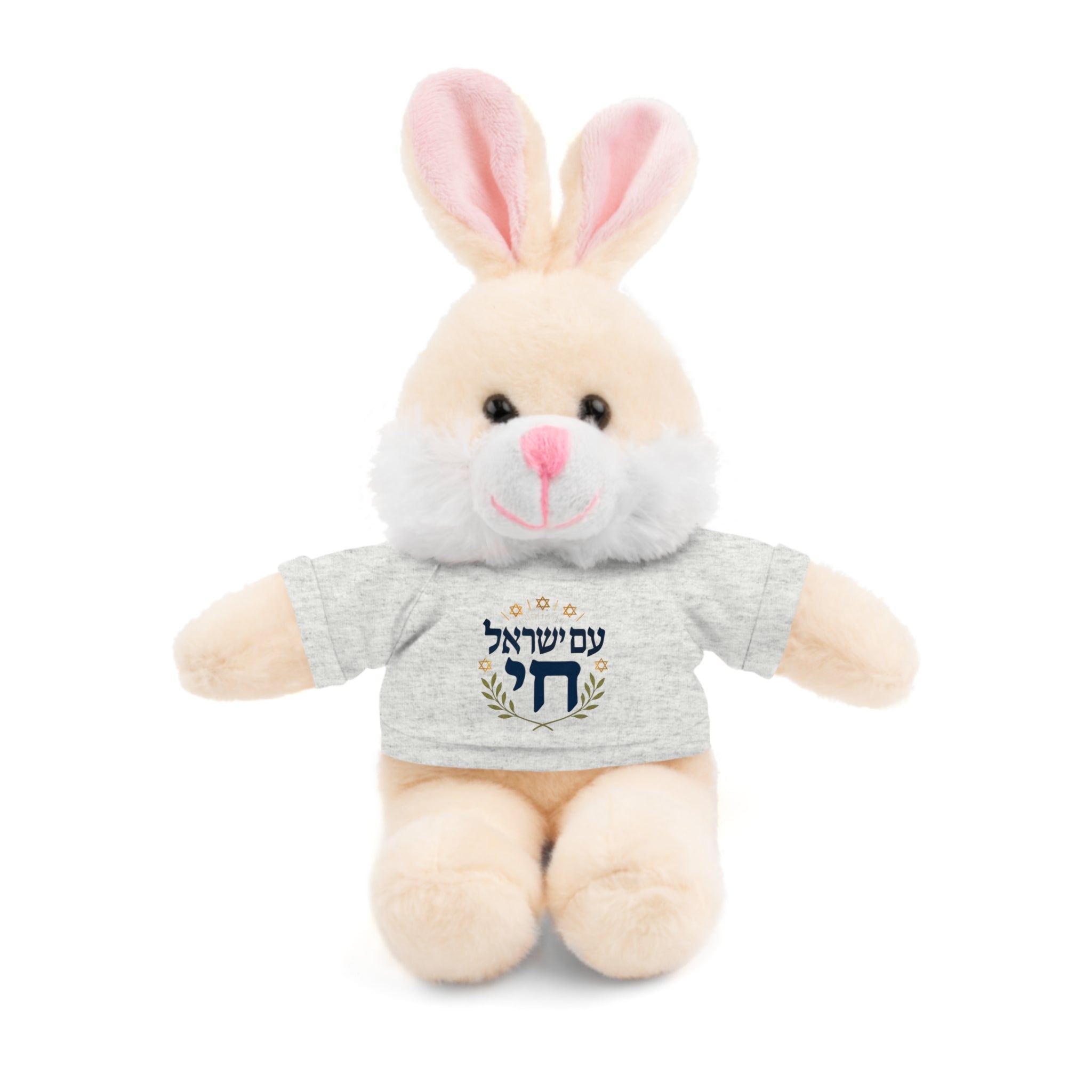 Israel Chai Teddy Bear — Plush Stuffed Animal with Tee