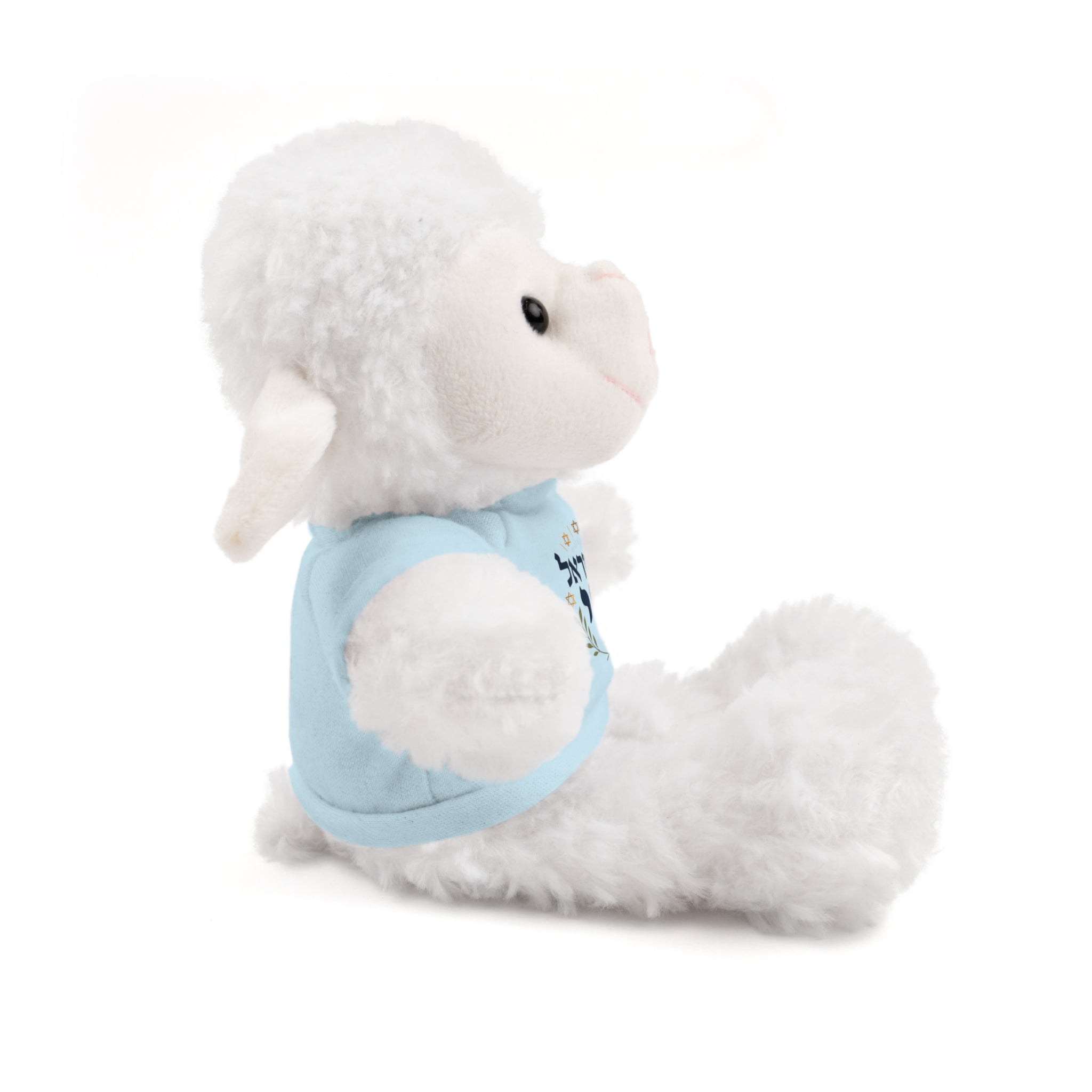 Israel Chai Teddy Bear — Plush Stuffed Animal with Tee