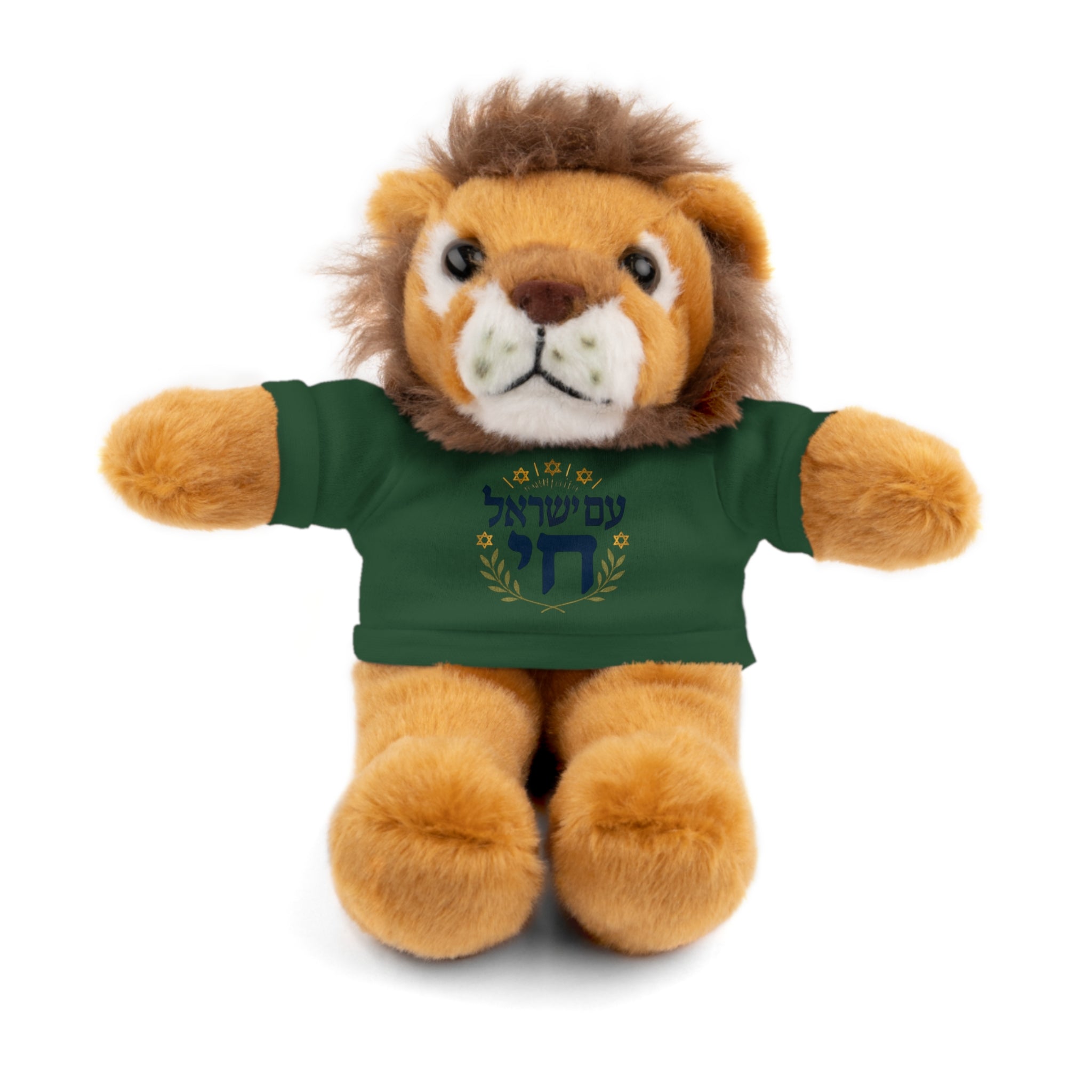 Israel Chai Teddy Bear — Plush Stuffed Animal with Tee