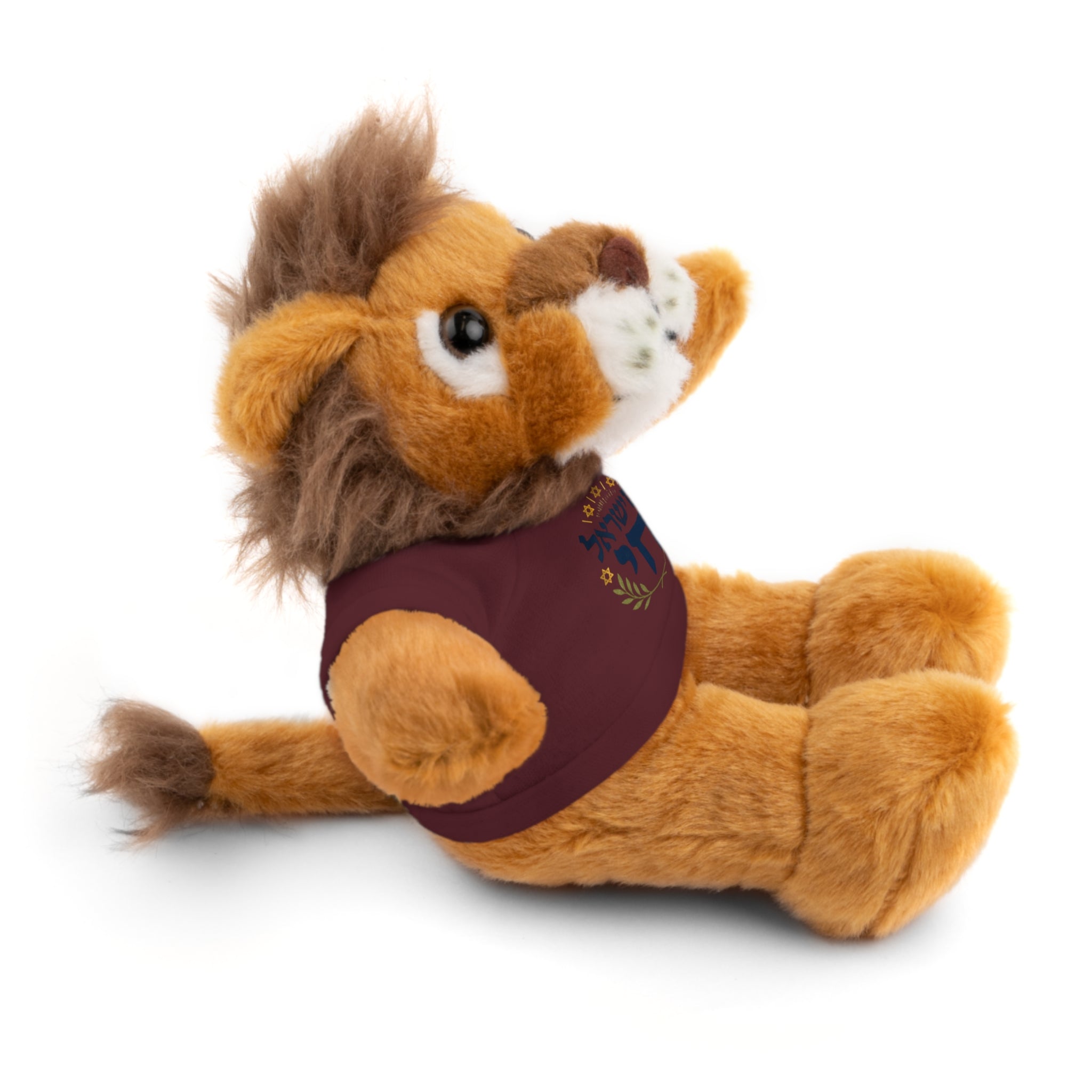 Israel Chai Teddy Bear — Plush Stuffed Animal with Tee