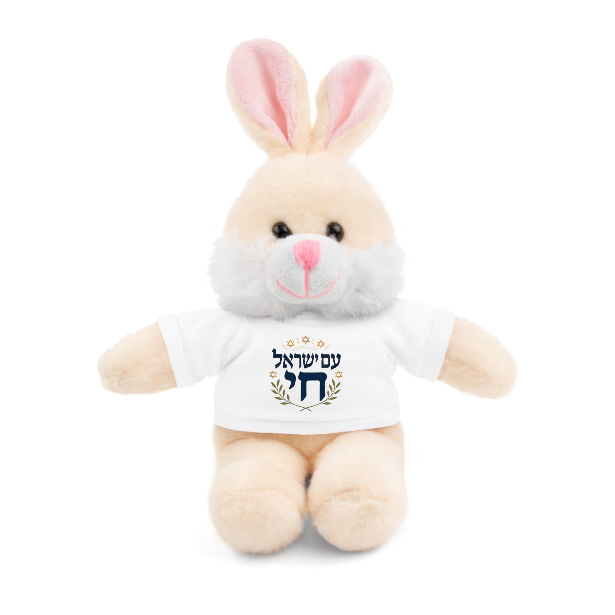 Israel Chai Teddy Bear — Plush Stuffed Animal with Tee