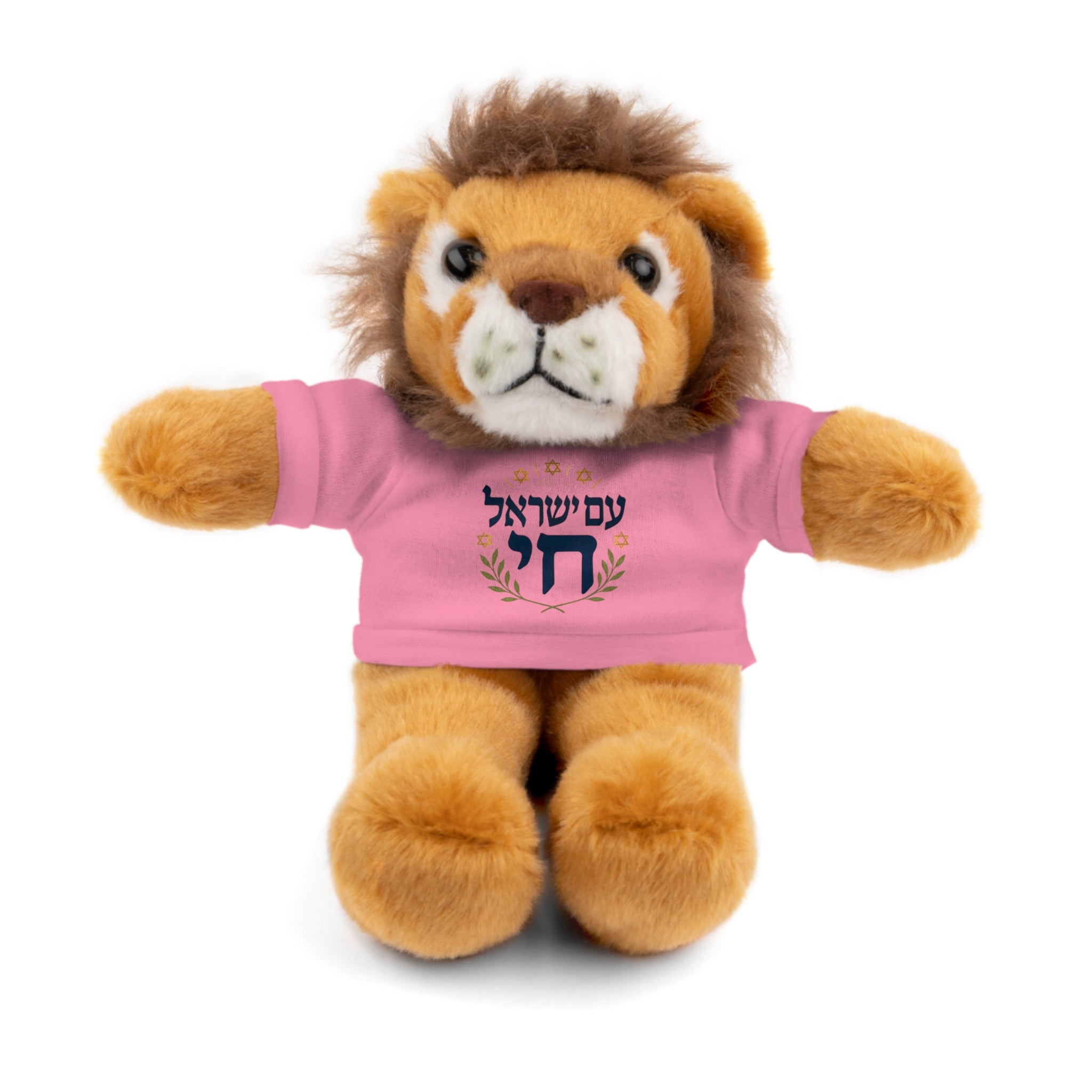 Israel Chai Teddy Bear — Plush Stuffed Animal with Tee