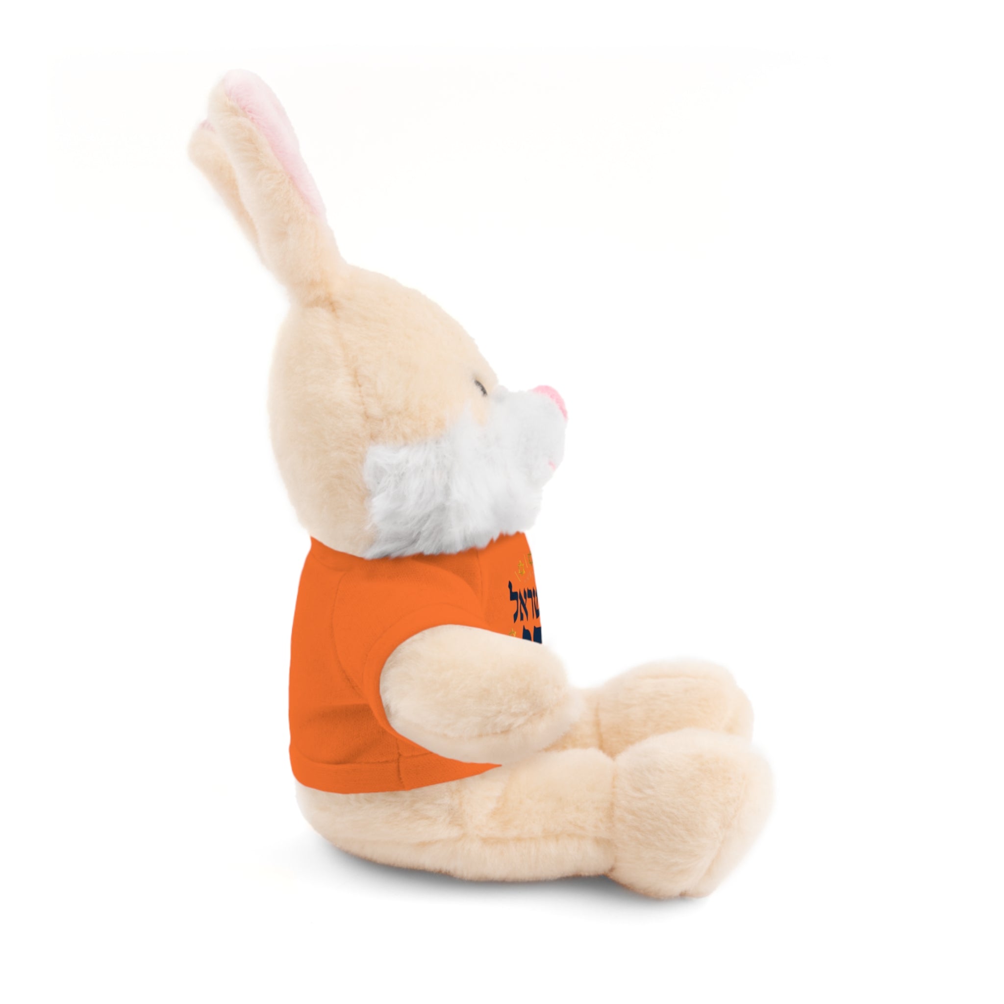 Israel Chai Teddy Bear — Plush Stuffed Animal with Tee