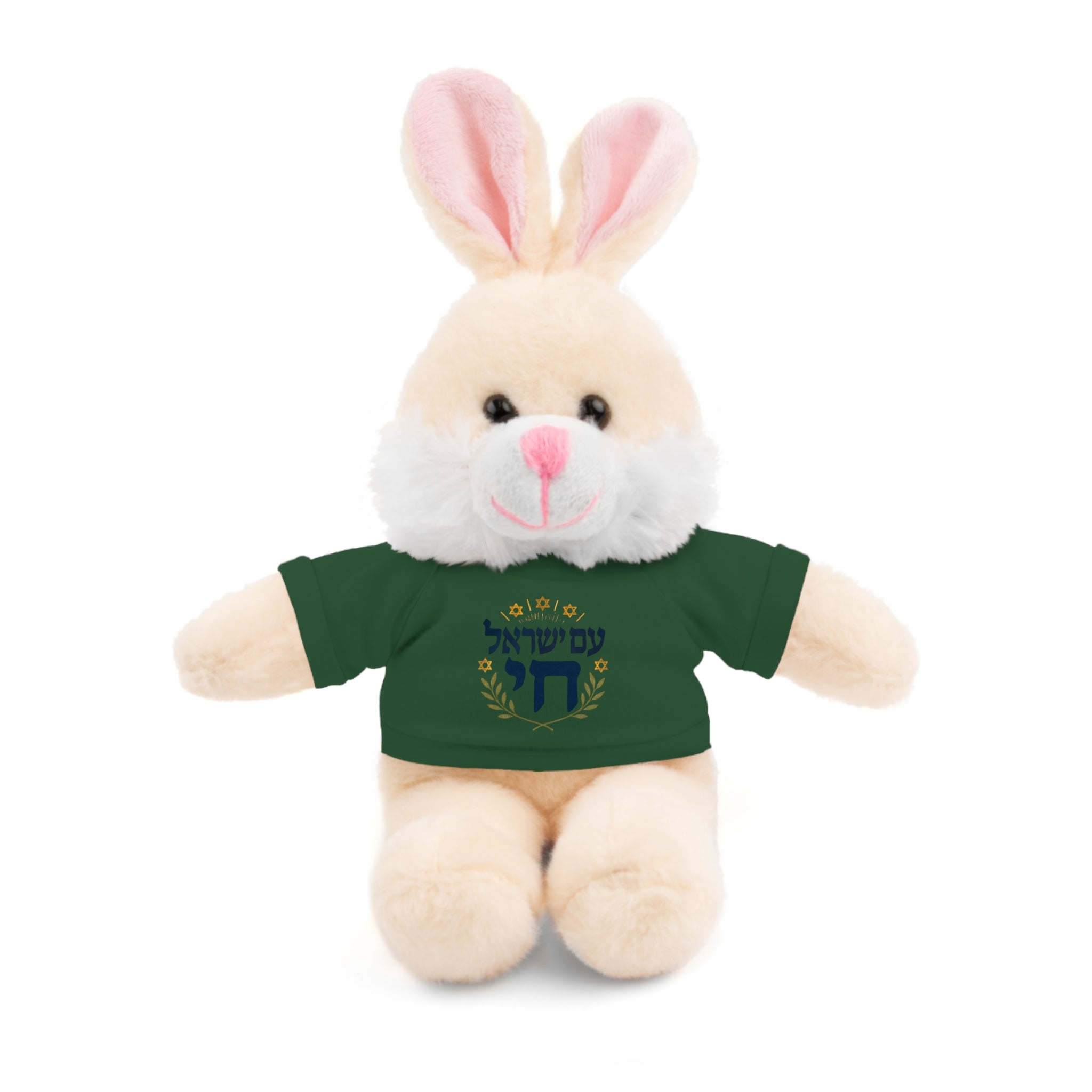 Israel Chai Teddy Bear — Plush Stuffed Animal with Tee