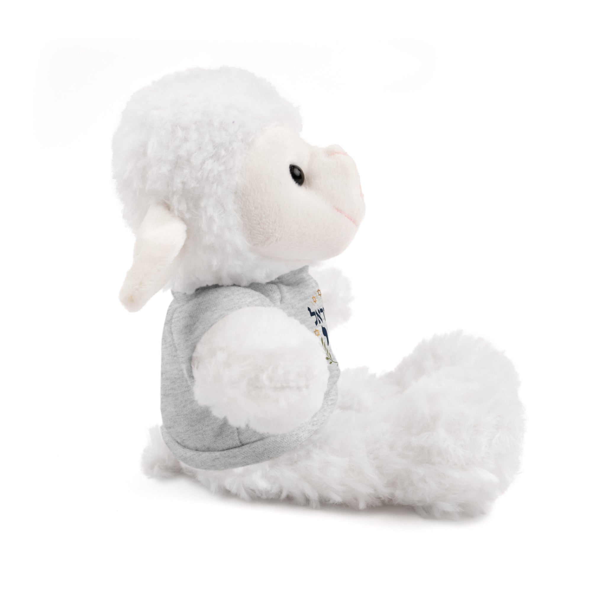 Israel Chai Teddy Bear — Plush Stuffed Animal with Tee
