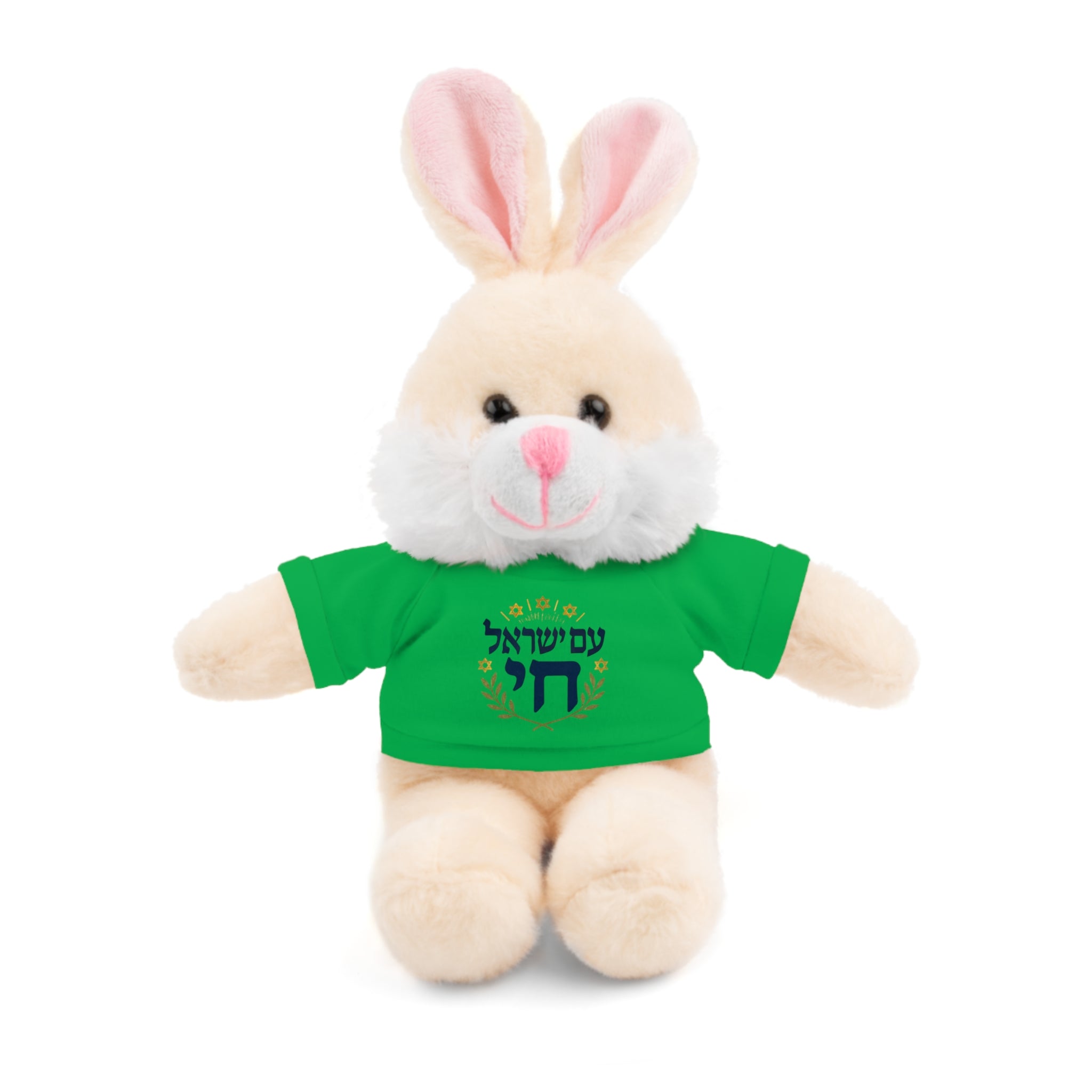 Israel Chai Teddy Bear — Plush Stuffed Animal with Tee