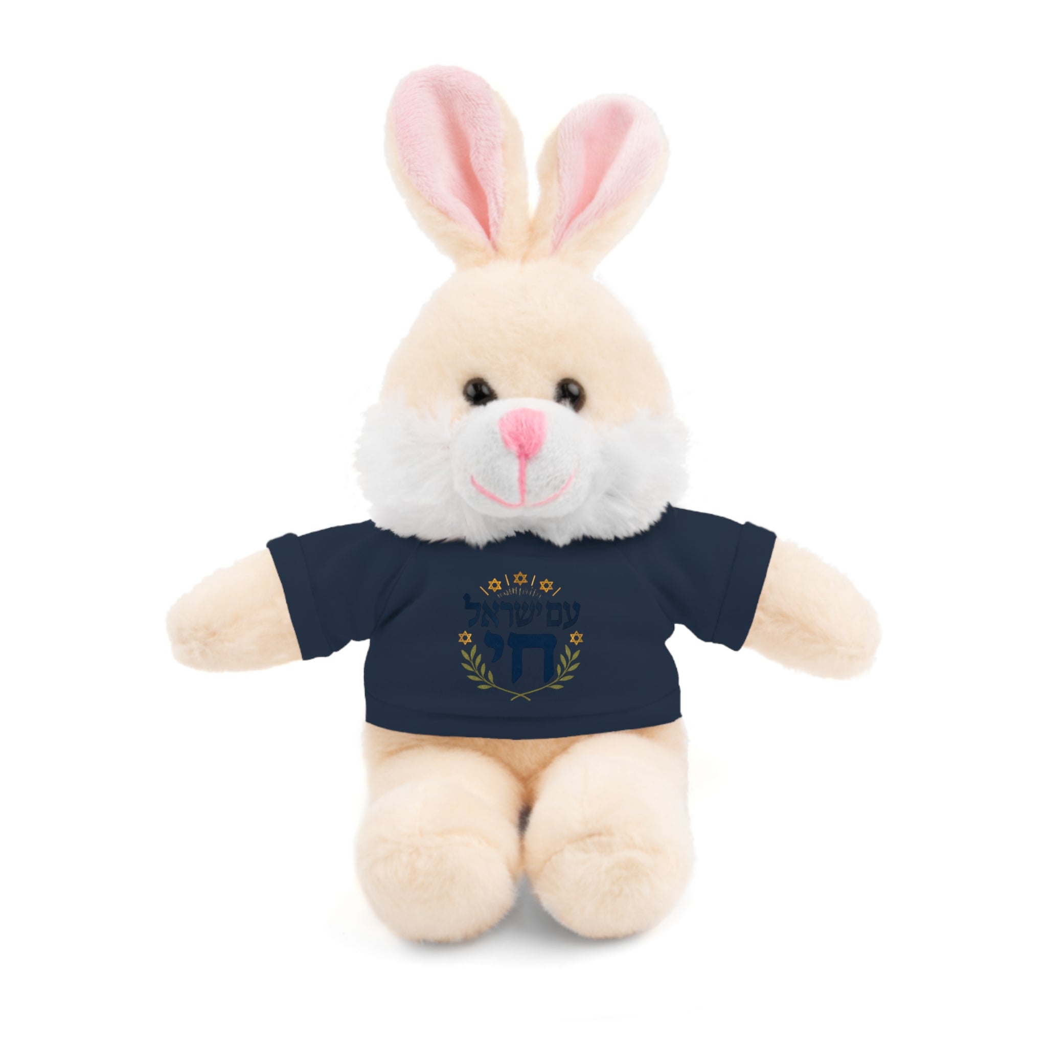 Israel Chai Teddy Bear — Plush Stuffed Animal with Tee