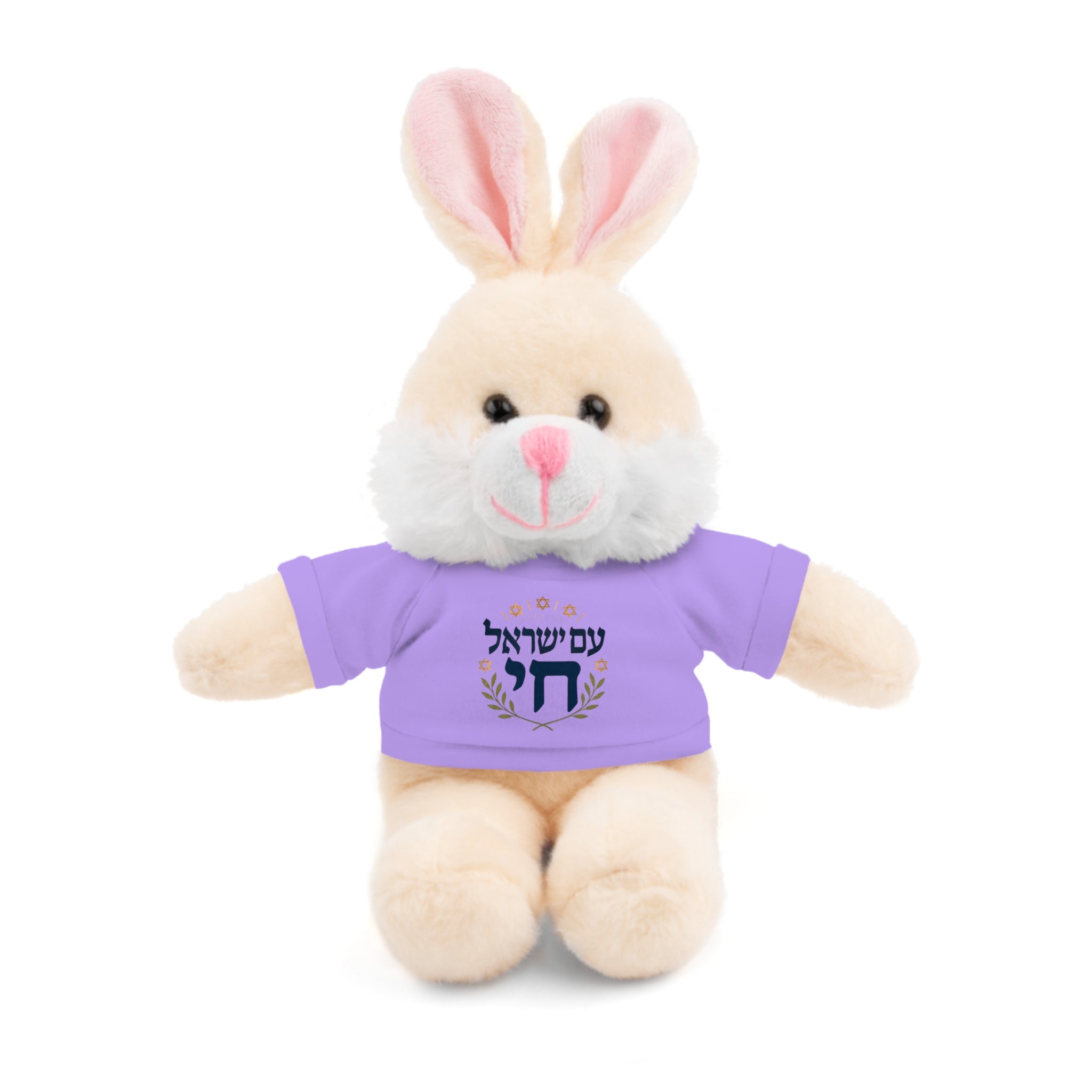 Israel Chai Teddy Bear — Plush Stuffed Animal with Tee