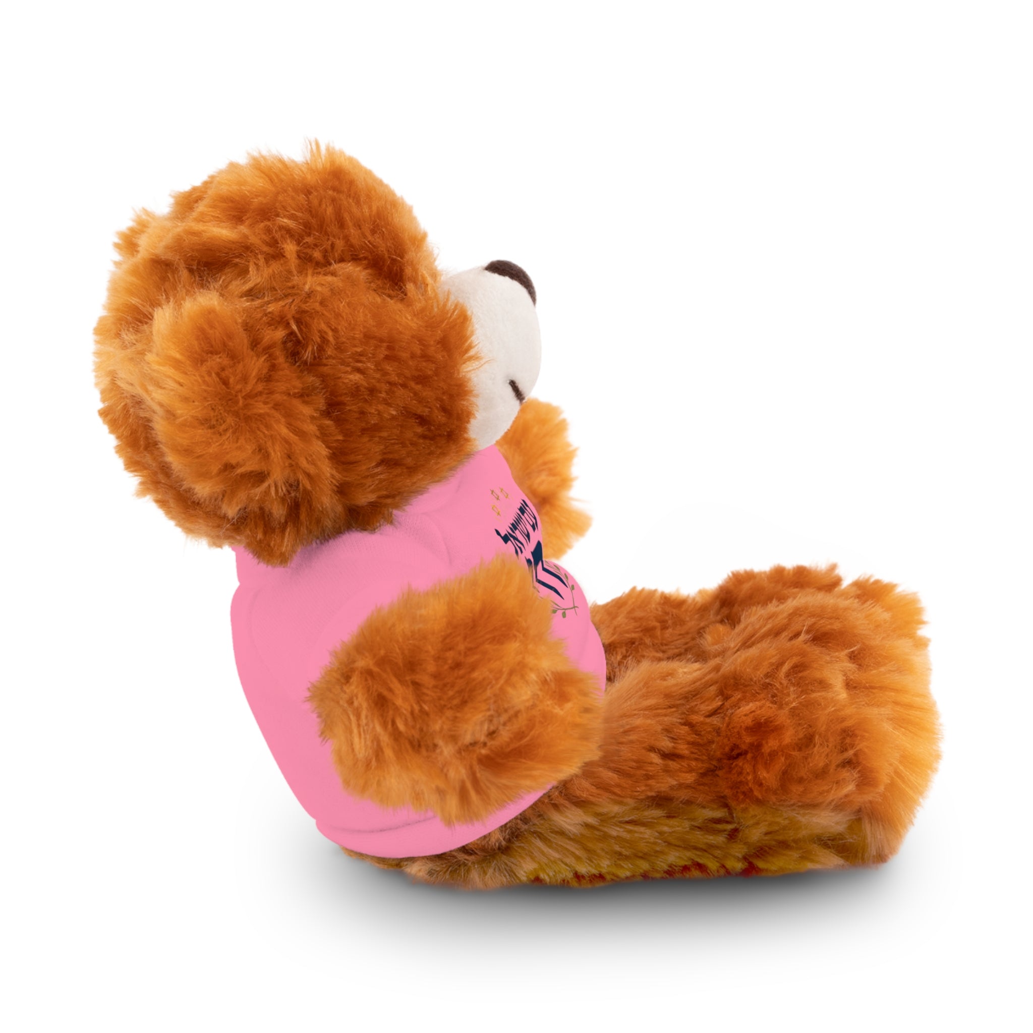 Israel Chai Teddy Bear — Plush Stuffed Animal with Tee