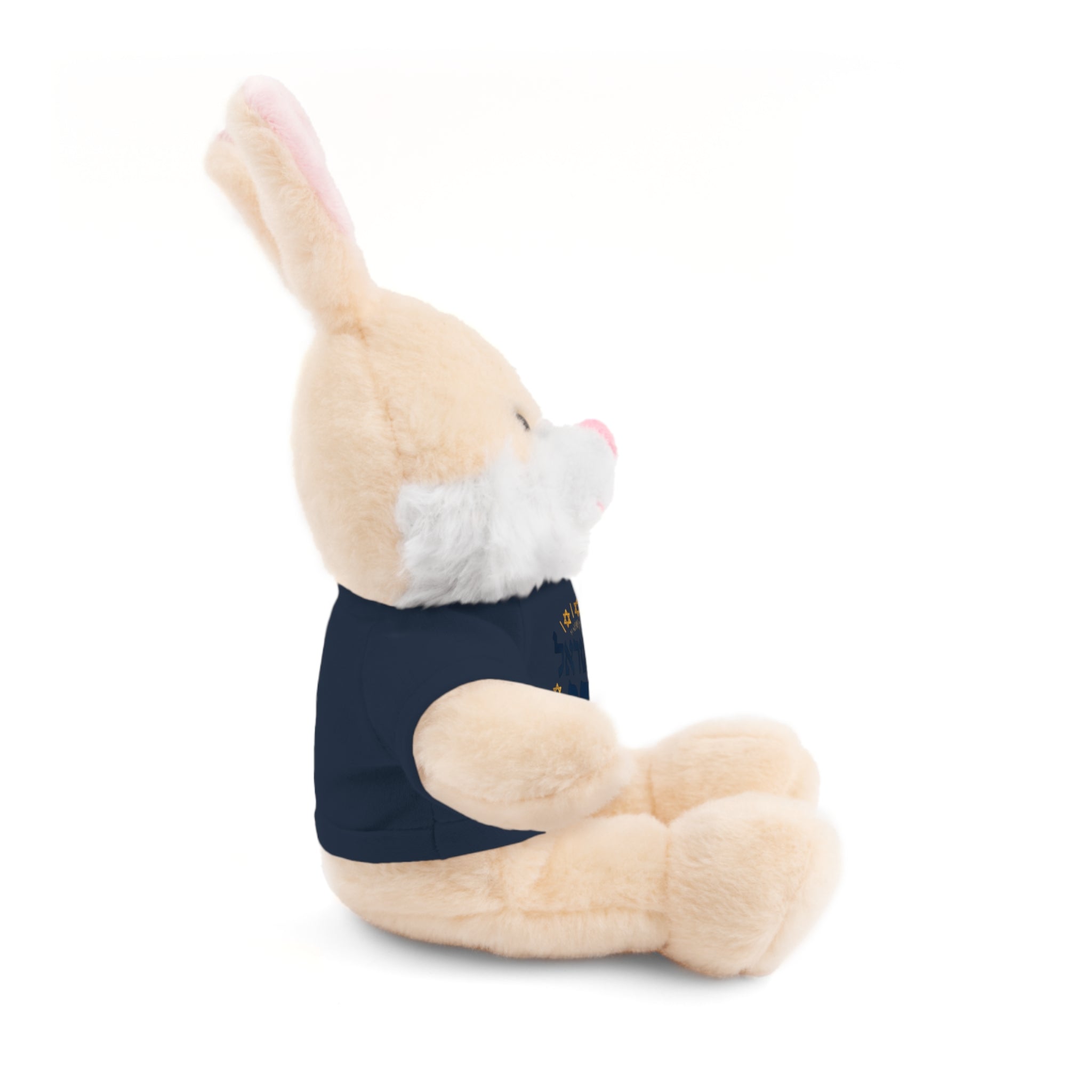 Israel Chai Teddy Bear — Plush Stuffed Animal with Tee